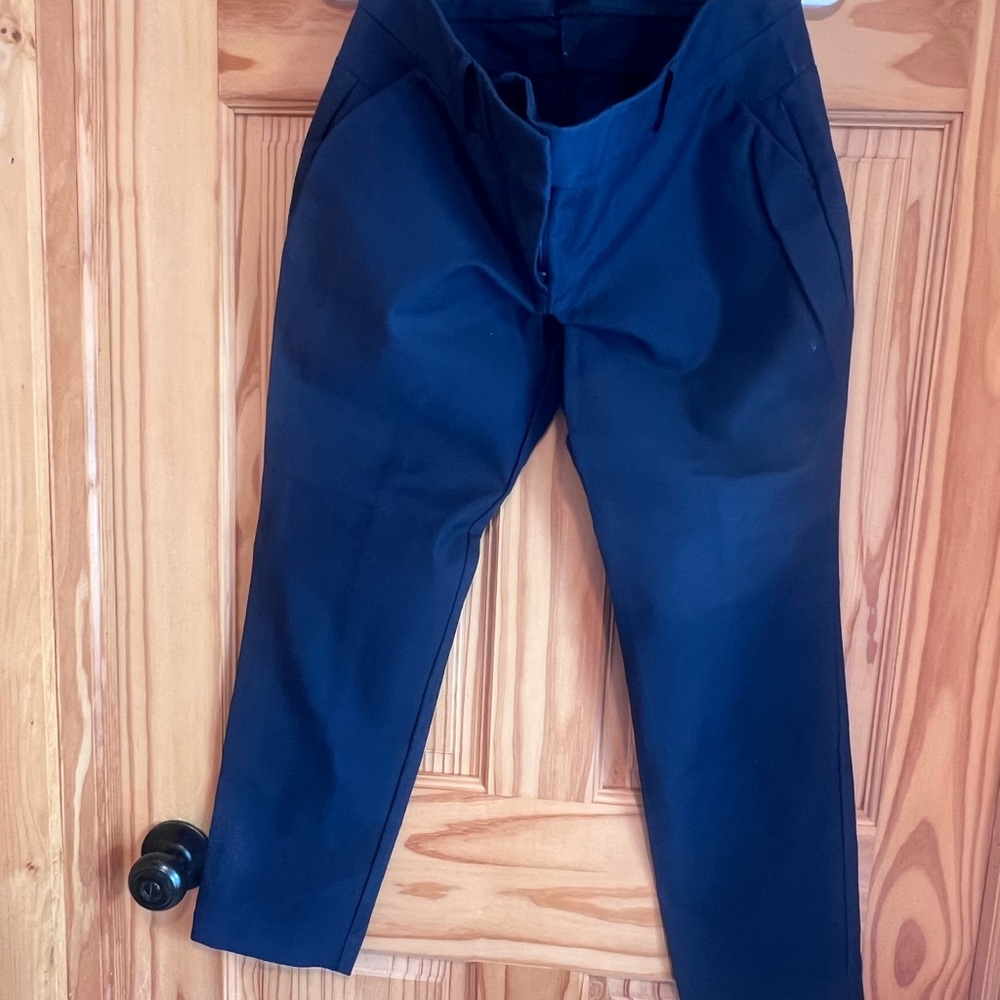 Ann Taylor Women’s Crop Dress Pants